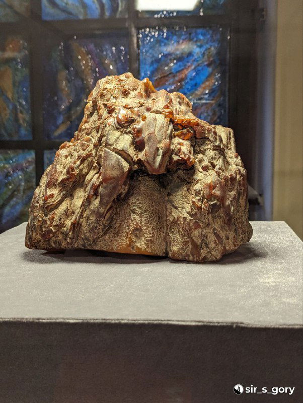 Крупный план необработанного куска янтаря на подставке в витрине музея; видно зернистую текстуру и тёплые оттенки.