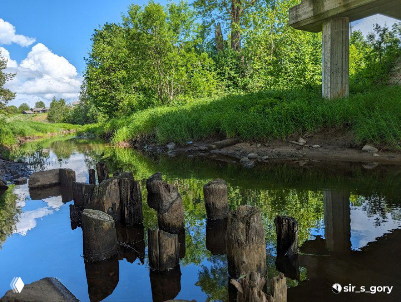 Остовы старых деревянных столбов в воде и остатки конструкций рассолоподъёмных труб на берегу, отражение неба в спокойной воде.