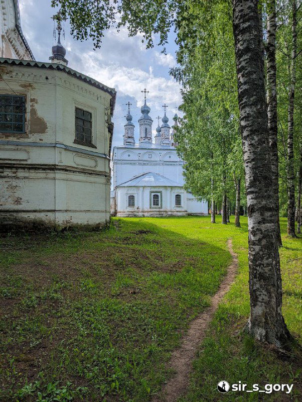 Вид через стройные стволы берёз на белоснежный храм в глубине парка, тихая летняя аллея и культурный ландшафт вокруг церкви.