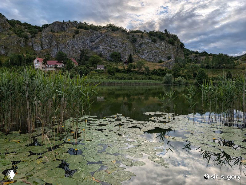 Озёрный пейзаж с кувшинками и тростником на переднем плане, на заднем плане скалистые утёсы и домики — типичный вид из окрестностей Цетинье.