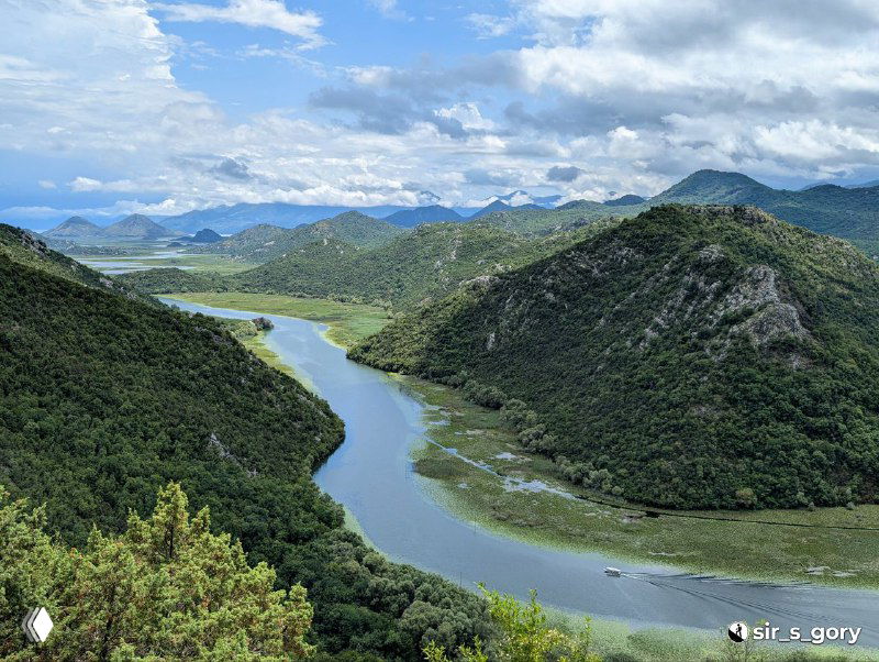 Скадарское озеро — черногорские виды