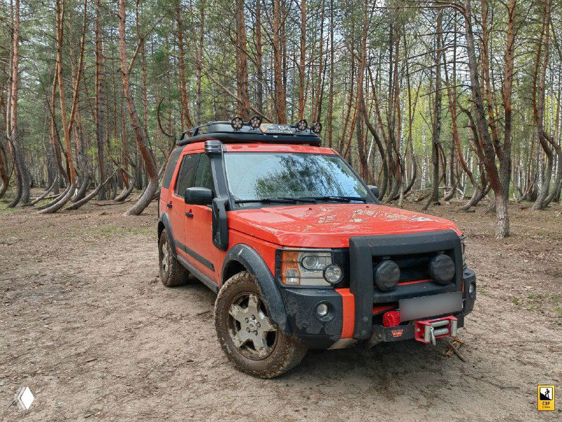 Оранжевый внедорожник припаркован на просеке в 'Пьяном лесу', рядом изогнутые сосны; кадр показывает доступность места для машин в сухую погоду.