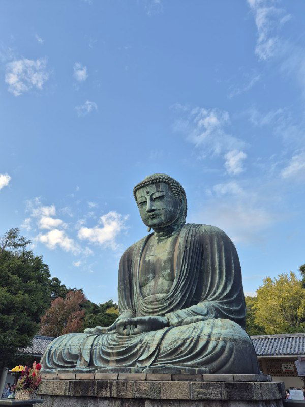 Крупная статуя Будды в храмовом комплексе на фоне голубого неба и деревьев — архитектурно-духовный кадр из поездки по Японии.