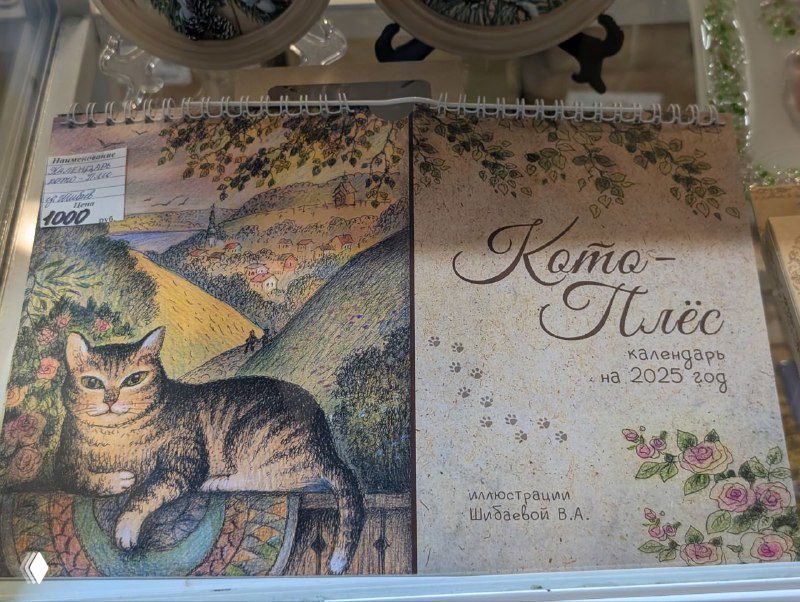 Календарь «Кото‑Плёс» на витрине магазина, обложка с иллюстрацией кота и пейзажа, товарная витрина сувениров для туристов.