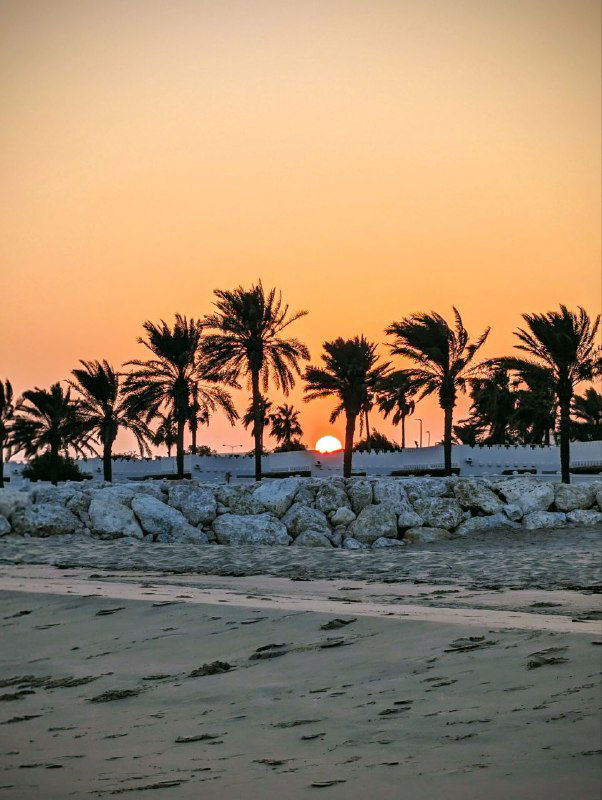 Закат на побережье с силуэтами пальм и прибрежными камнями, оранжево‑золотистая кромка солнца над линией горизонта; тёплая морская сцена из путешествий автора.