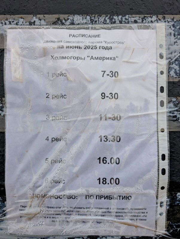 Фотография бумажного расписания летней переправы с перечислением рейсов парома «Америка» между Холмогорами и Куростровом, прикреплённого в прозрачной папке.