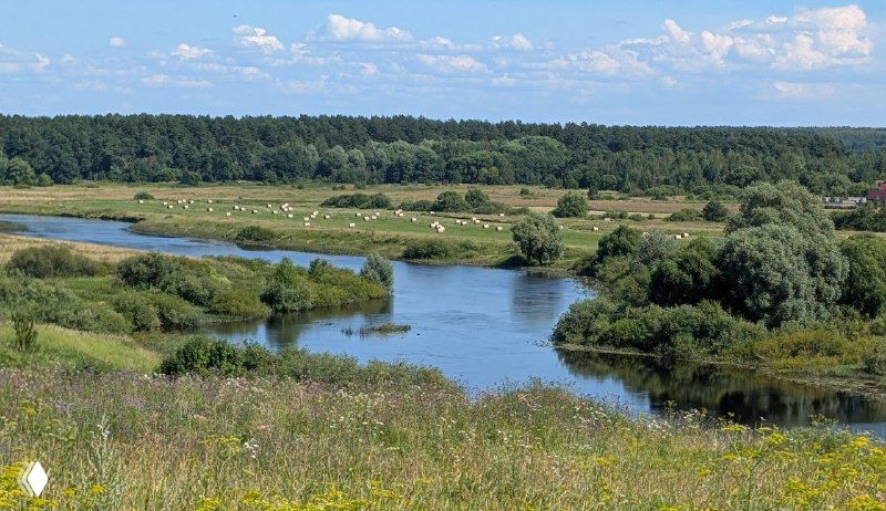 Панорамный вид реки и окрестных лугов недалеко от села Воскресенская Слободка — пейзаж вокруг памятника архитектуры, зелёные берега.