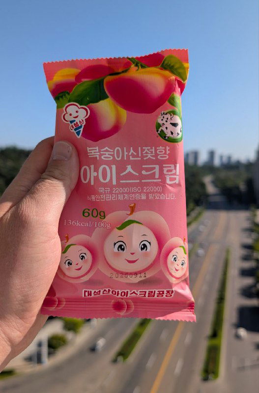 Пакет мороженого с корейской упаковкой в руке на фоне улицы и дорог — пример уличного ассортимента и простоты покупок в КНДР