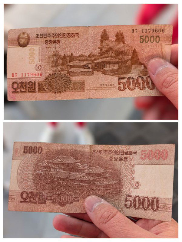 Две стороны купюры номиналом 5000 вон в руке — ещё один пример банкнот КНДР, которые можно фотографировать, но их вывоз запрещён