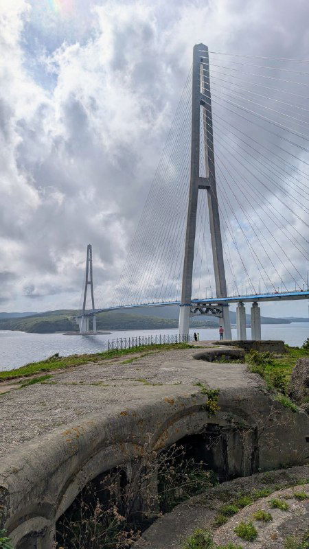 Дальний план Русского вантового моста: тонкие тросы и высокий пилон на фоне облачного неба, береговая линия и укрепления на переднем плане.