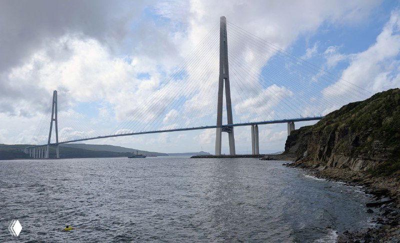 Два вантовых пилона и пролёт моста, снятые с низкого берега: композиция показывает масштабы и протяжённость моста над водой.