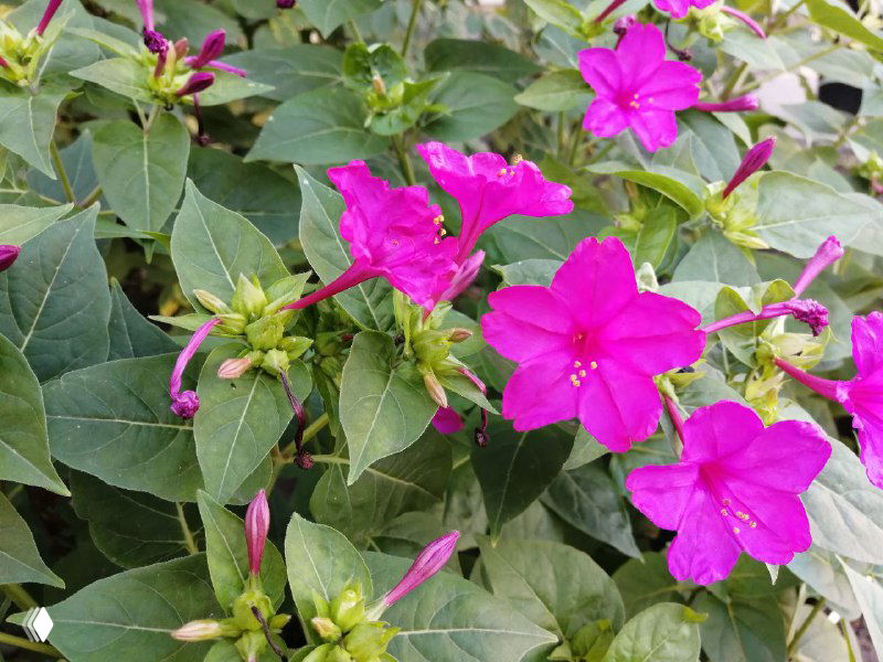 99% экспертов об этом не знают