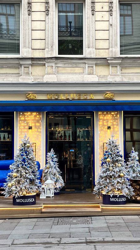 Фасад булочной или бутика, украшенный маленькими елями и тёплой подсветкой — праздничное оформление витрины и городской уют перед зимой.