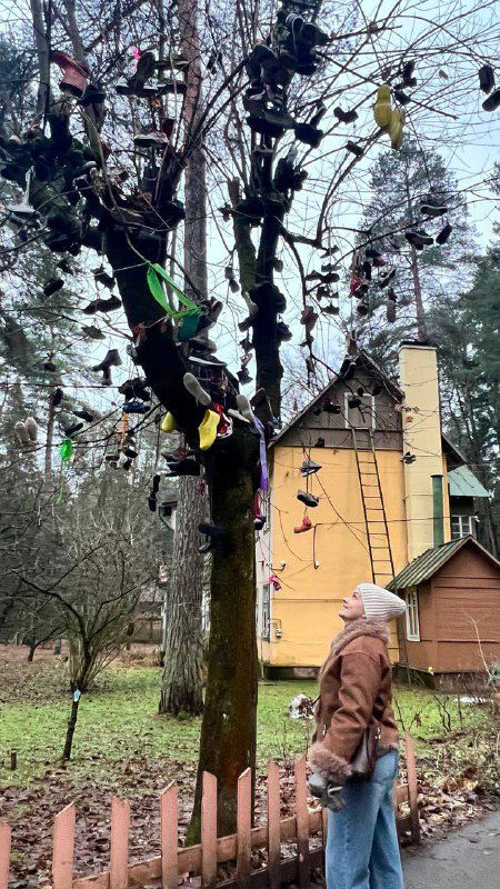 Дерево с привязанной детской обувью и заметками во дворе дома Чуковского, посетительница смотрит вверх — причудливый двор, наполненный символами и детскими предметами.