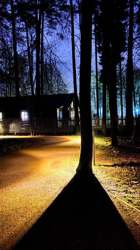 Освещённая дорожка в парке среди высоких тёмных сосен: длинные тени и фиолетово‑синее небо создают ощущение глубокого вечера в Переделкино.