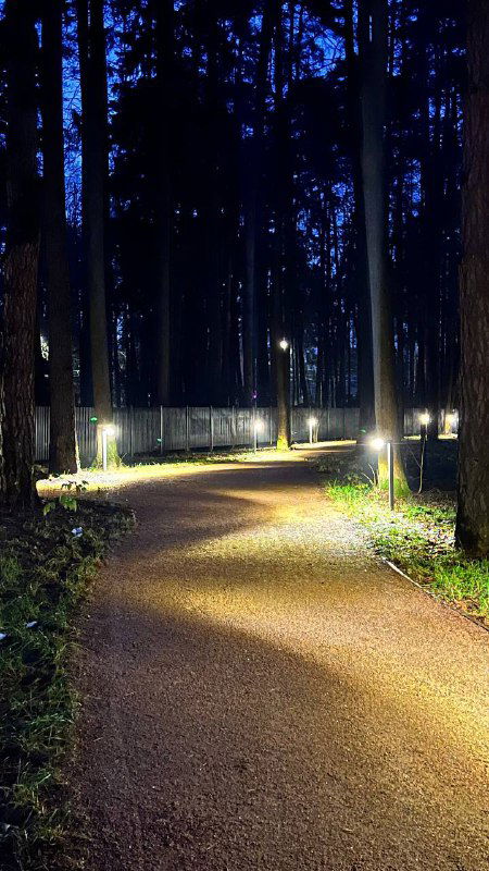 Пешеходная дорожка в парке вечером, огни вдоль дорожки и деревянный забор; сценка спокойного вечернего маршрута у музейного дворика.