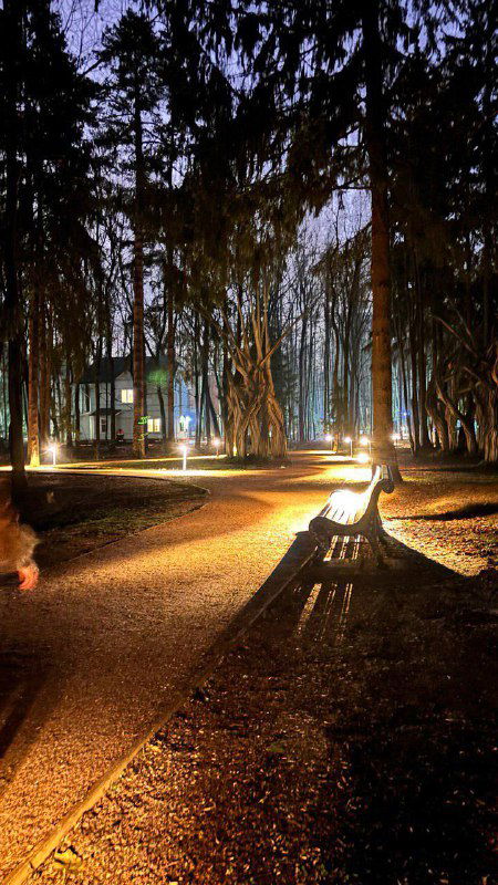 Скамейка и аллея в парке перед музеем при тёплом вечернем освещении: пустая скамейка, световые дорожки и тёмные силуэты деревьев.