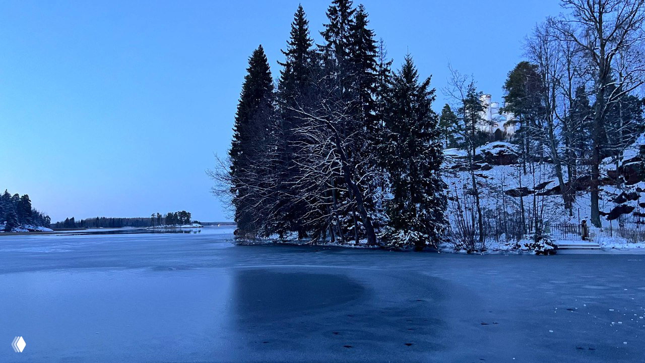 Зимний пейзаж парка Монрепо: замёрзшая гладь воды, хвойные острова и скалистый берег под бледно‑голубым небом на закате.
