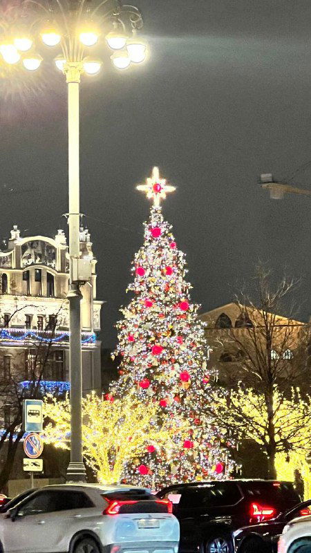 Ночная площадь или улица рядом с театром: украшенная рождественская ёлка с иллюминацией, автомобили и праздничная зимняя атмосфера центрального места города.