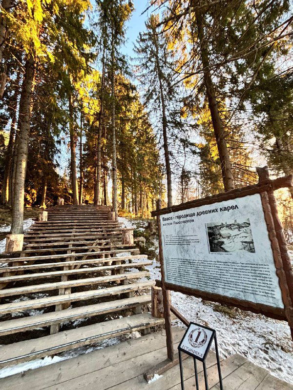 Деревянные лестницы и настилы среди соснового леса ведут к смотровой площадке на холме, видны солнечные лучи и снег.