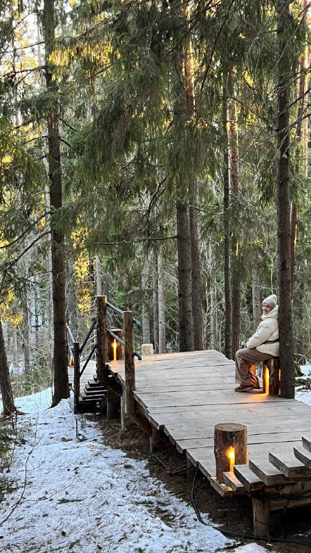 Деревянная настильная тропа среди реликтового леса, мягкий свет и сосны по обе стороны, зимняя земля под ногами.