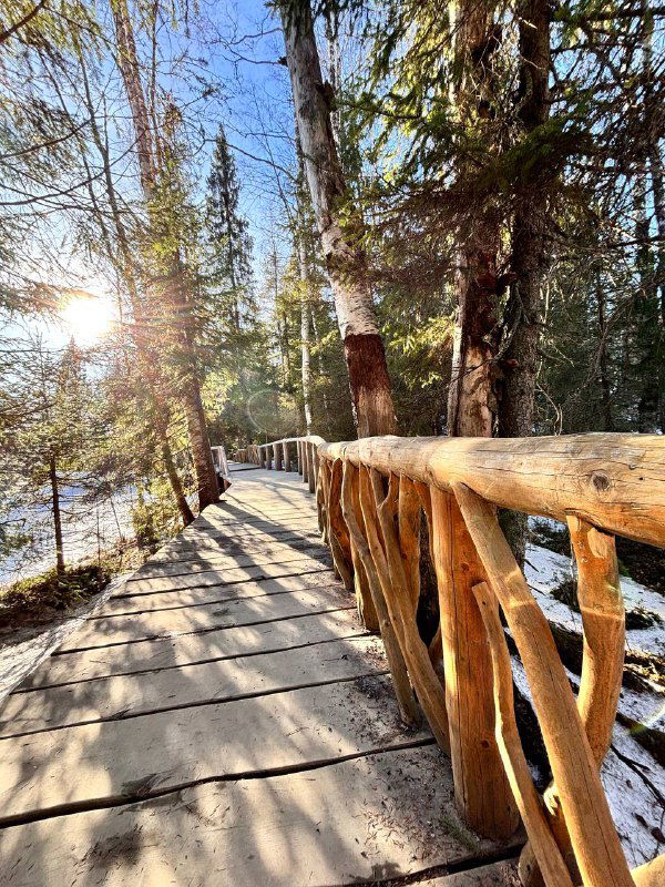 Деревянный настил и перила на тропе парка, солнечные блики сквозь сосны и следы тающего снега на дорожке, атмосферный вид прогулочной инфраструктуры.