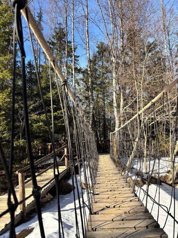 Подвесной деревянный мост через лесную тропу в Рускеале: доски, канаты и тени деревьев, тихая карельская сцена для прогулок и фотографий.