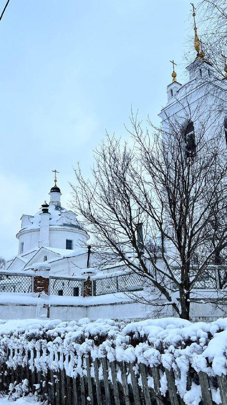 Заснеженная церковь и ограда в Константиново: белые купола, дерево без листвы и аккуратный снежный покров на земле и ограждении.