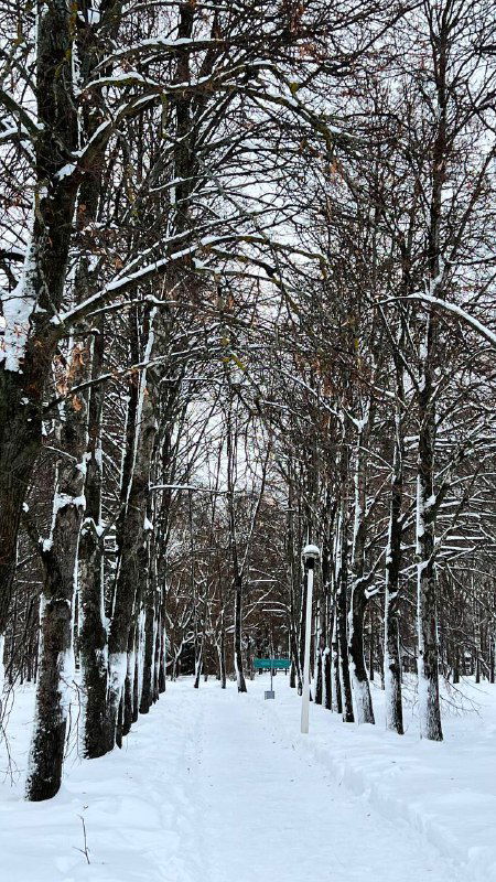 Есенин. Константиново — часть 2