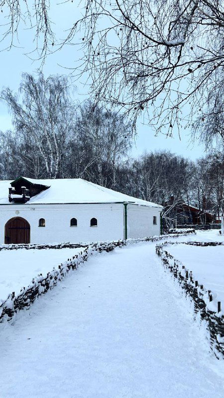 Двор усадьбы в снегу: ровные дорожки, заснеженные низкие постройки и аккуратные кусты вдоль аллей музея.