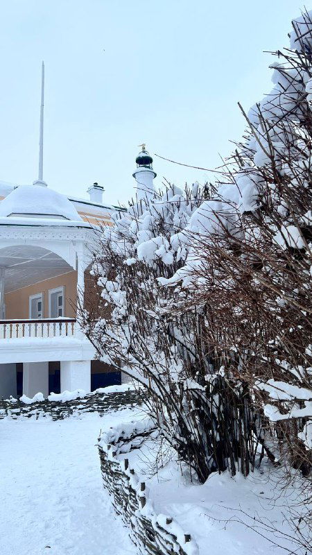 Каменная или колоннада перед усадебным домом, обрамлённая снегом и кустами; архитектурный фрагмент в зимнем пейзаже.