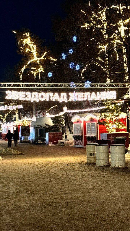 Арка и вывески с гирляндами в парковой зоне Рязани ночью; пешеходы проходят через праздничный коридор огней.