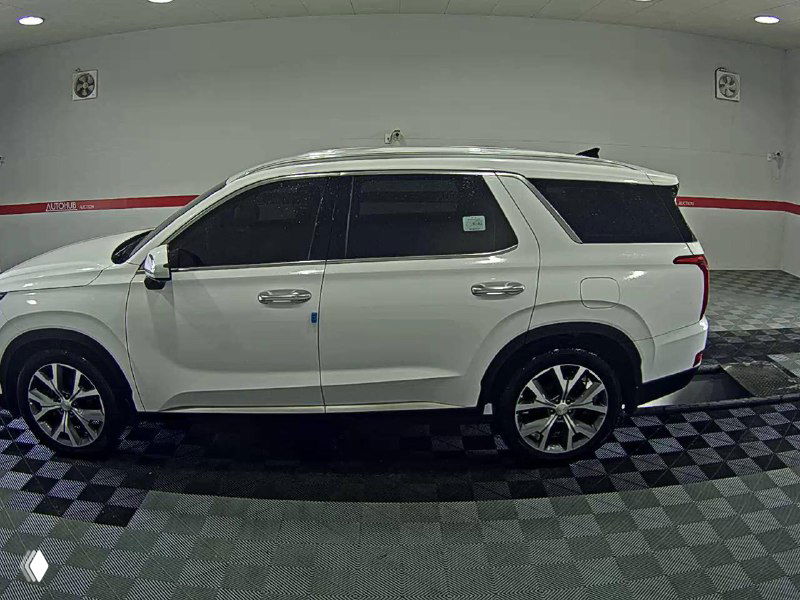 Ещё один боковой ракурс Hyundai Palisade в белом цвете: демонстрация дверных панелей, зеркал и общего состояния лакокрасочного покрытия.