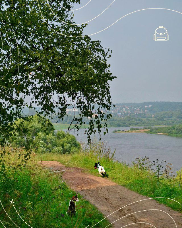 Тропинка вдоль реки с людьми и собакой, береговая зелень и плавный изгиб воды — спокойный пейзаж для прогулок в Тарусе.