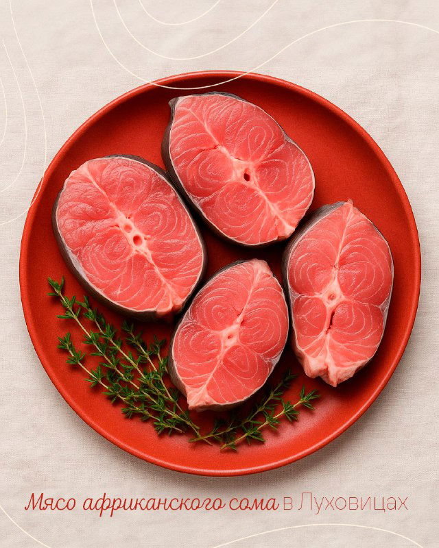 Куски мяса африканского сома на красной тарелке с зеленью — иллюстрация блюда, которое можно попробовать в Луховицах.