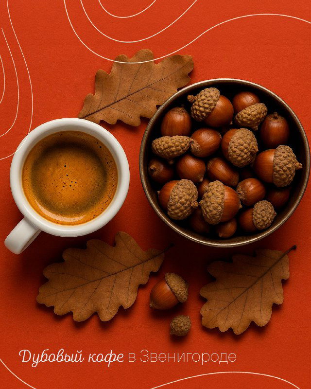 Чашка кофе на фоне дубовых листьев и желудей — концептуальная фотография «дубового кофе», который предлагают в Звенигороде.
