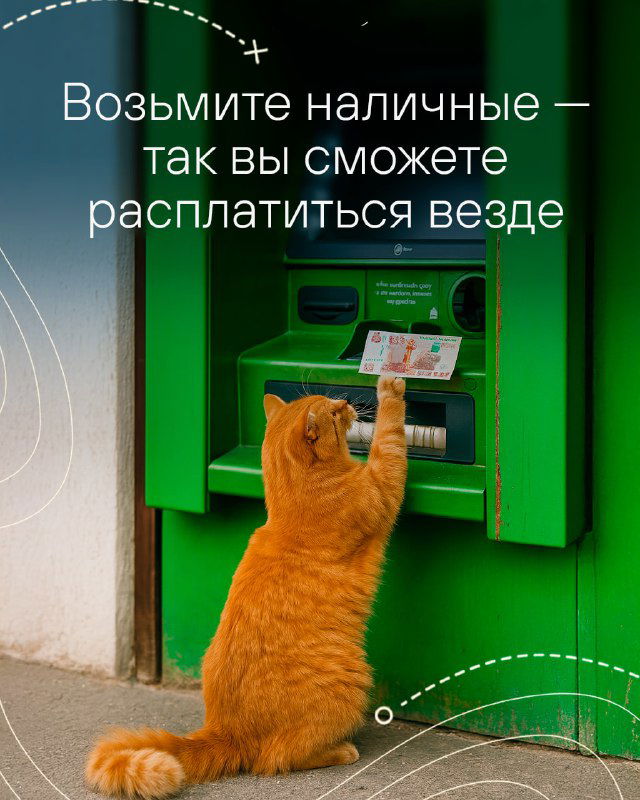 Рыжий кот на цыпочках у банкомата вставляет или тянет банкноту — иллюстрация совета про наличные при отсутствии мобильной связи и оплаты картой.
