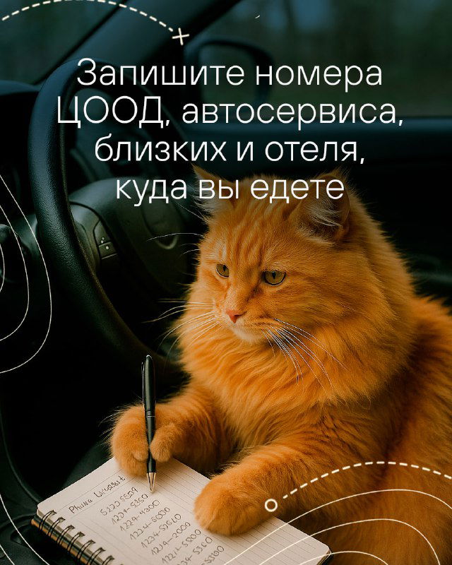 Кот за рулём пишет в блокноте на приборной панели — визуальное напоминание записывать номера эвакуаторов, автосервиса и контакты близких перед поездкой.