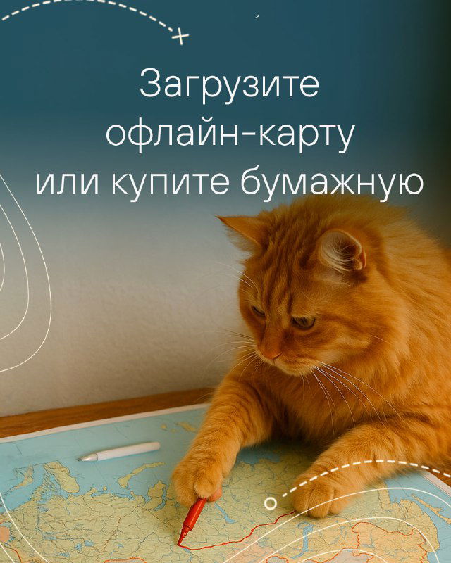 Кот с картой и карандашом на столе отмечает маршрут — изображение советует загрузить офлайн‑карты или взять бумажную карту для ориентирования без сети.