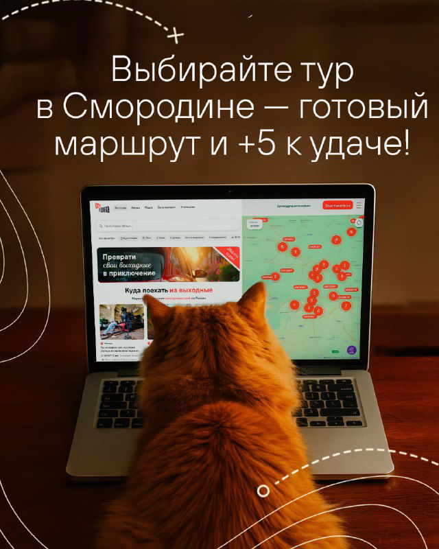 Кот смотрит на экран ноутбука с картой и метками маршрутов сервиса «Смородина» — изображение подчёркивает готовые туры и маршруты на сайте.