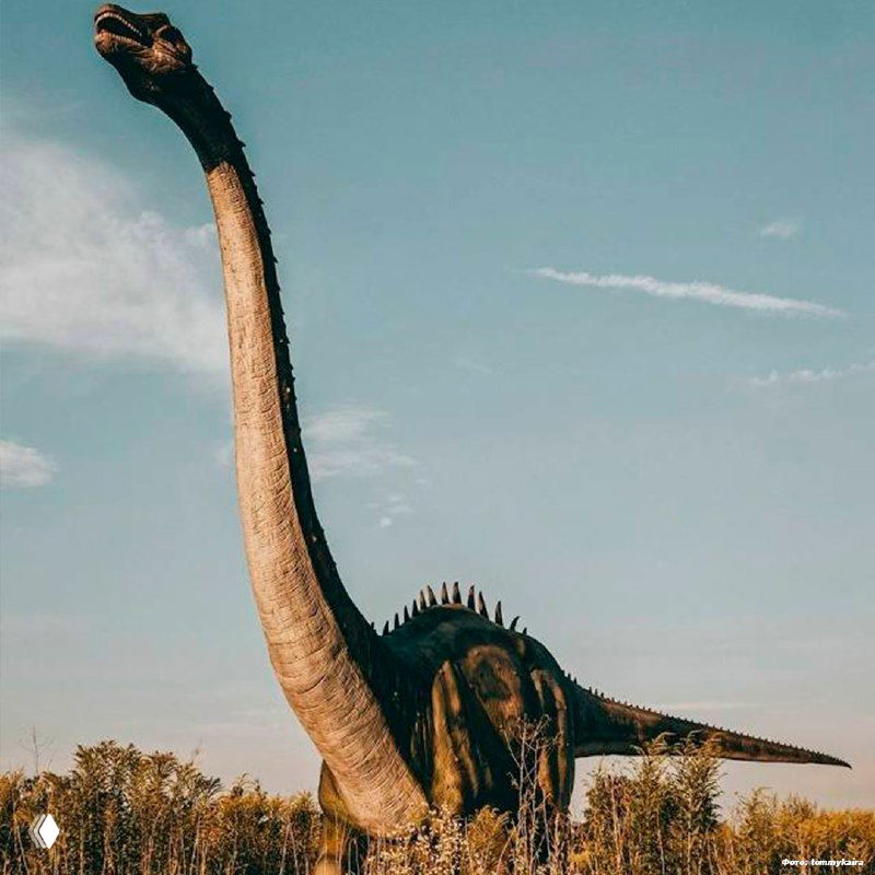 Фигура брахиозавра с вытянутой шеей на фоне чистого неба, фотография сделана в золотой час в заброшенном парке аттракционов «Долина динозавров».