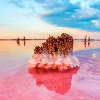 Розоватая вода и соляные наросты Сасык‑Сиваша в Крыму, фрагмент поверхности озера с кристаллизовавшимися отложениями и отражением неба.