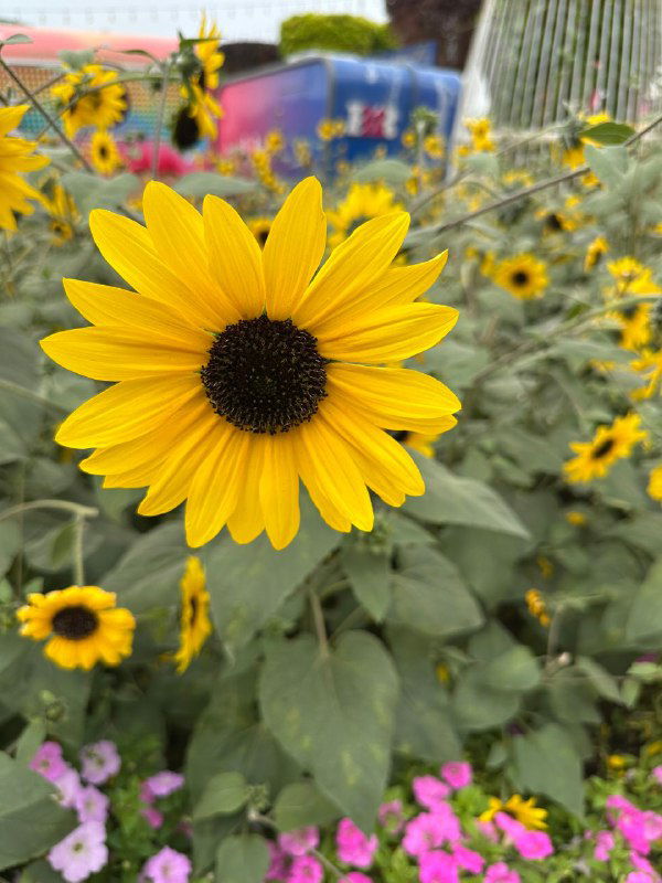 Просканировать айти‑специалиста на софт‑скиллы за 20–40 минут