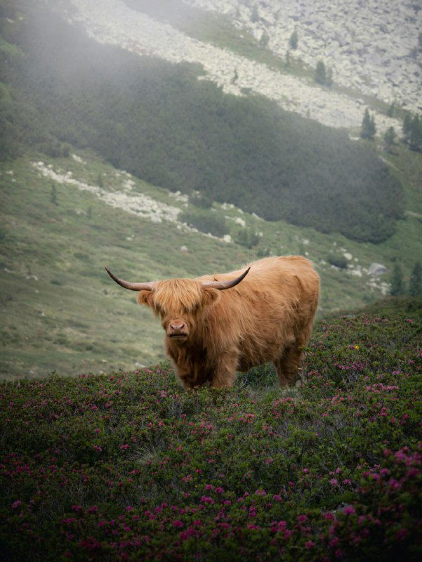 Самопрезентация вслух