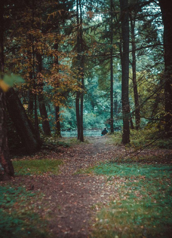 Детям коуч не нужен