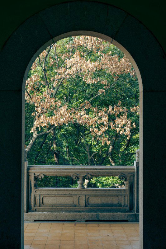 Делегирование — не «что сделать», а «зачем»