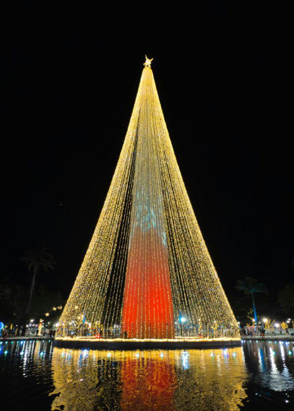 Высокая уличная ёлка, образованная нитями светодиодных гирлянд над площадью; видно отражение огней на воде и тёмное небо.
