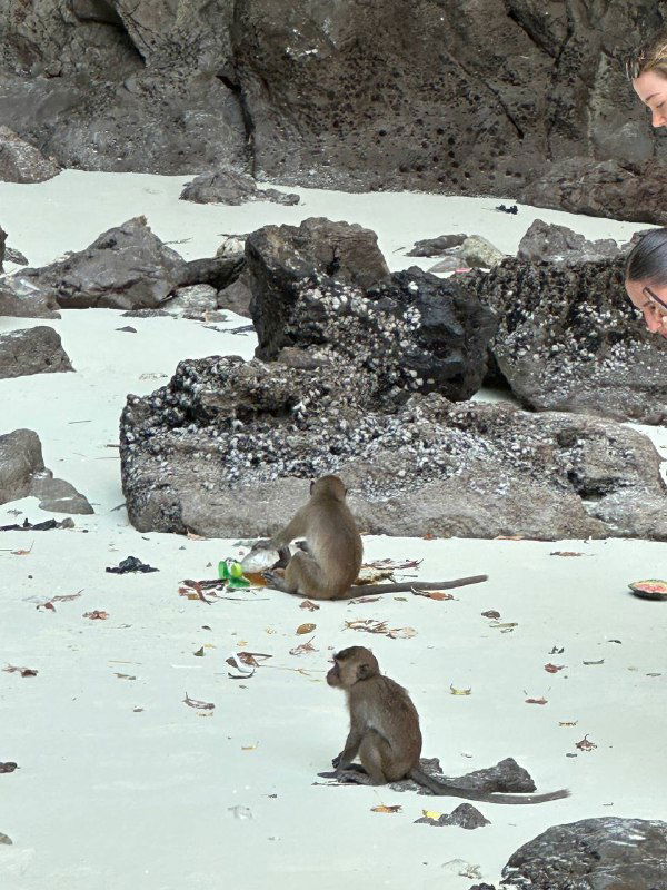 Застряли и тупите? Вот что делаем