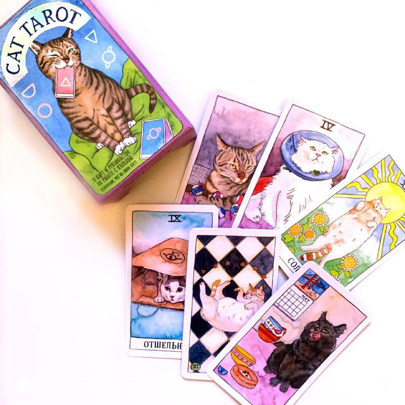 Таро Котиков — разбор шуточной пушистой колоды