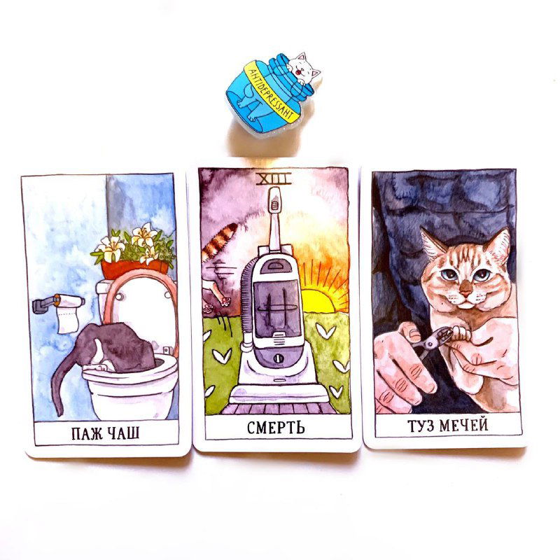 Кото-расклад: примирение после ссоры